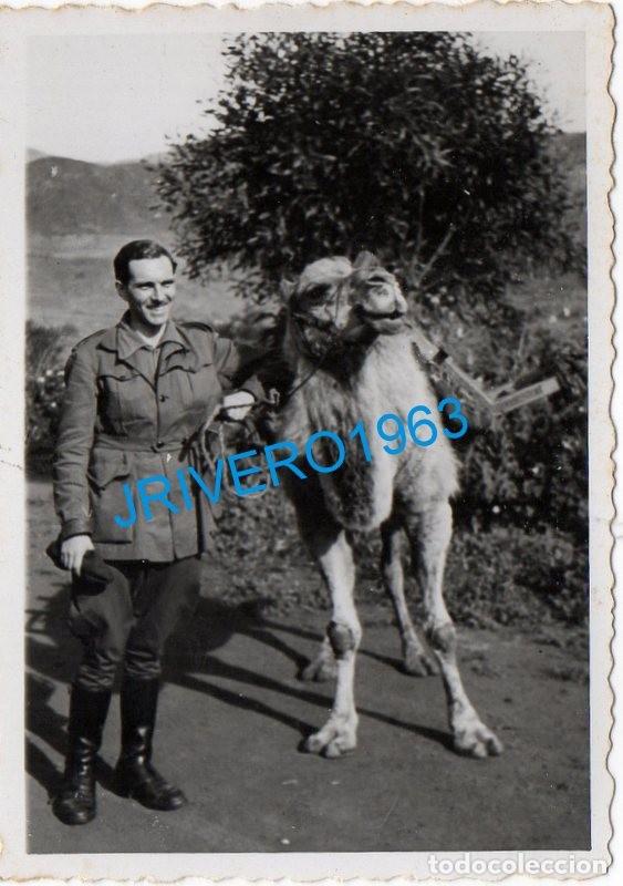 Militaria: ANTIGUA FOTOGRAFIA, MILITAR CON UN CAMELLO, 58X86MM