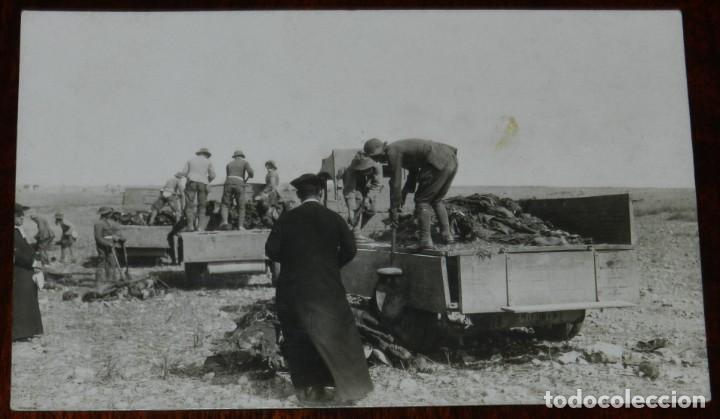 Militaria: FOTO POSTAL DE SOLDADOS ESPA&Ntilde;OLES DESCARGANDO CADAVERES, MIENTRAS LOS CURAS DAN LA EXTREMAUNCION A L