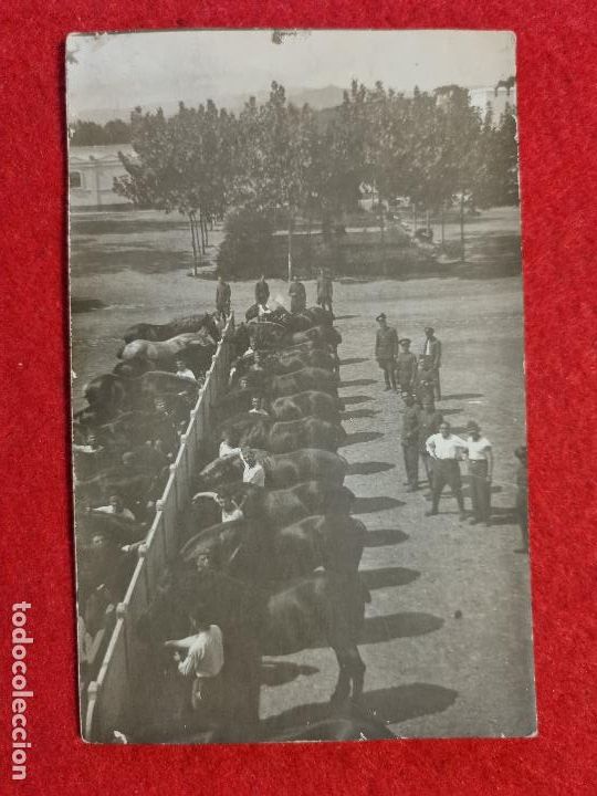 Militaria: FOTO FOTOGRAFIA MILITARES CABALLERIA REVERSO POSTAL ORIGINAL F14