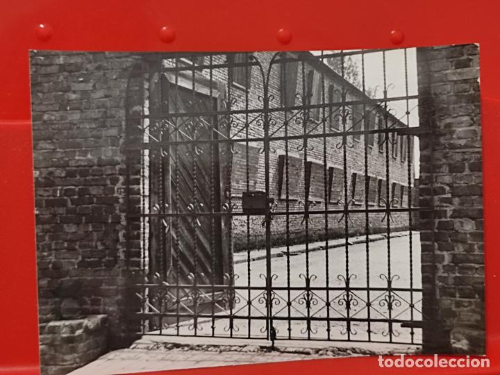 Militaria: BIRKENAU OSWIECIM BRZEZINKA FOTO RUCH SC CREO CAMPO CONCENTRACI&Oacute;N