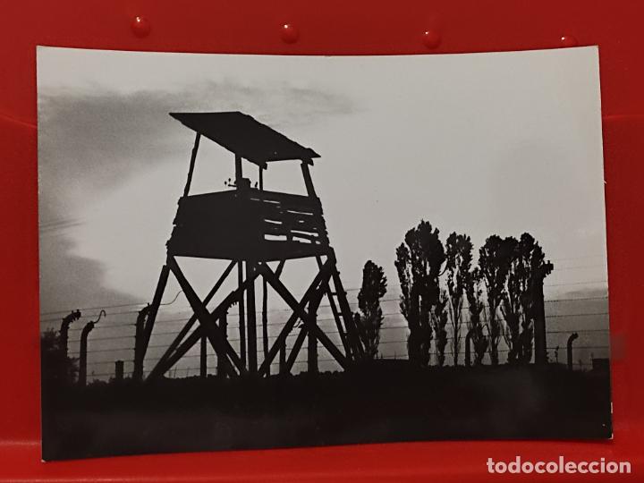 Militaria: AUSCHWITZ BIRKENAU OSWIECIM BRZEZINKA FOTO RUCH SC CREO CAMPO CONCENTRACI&Oacute;N TORRE