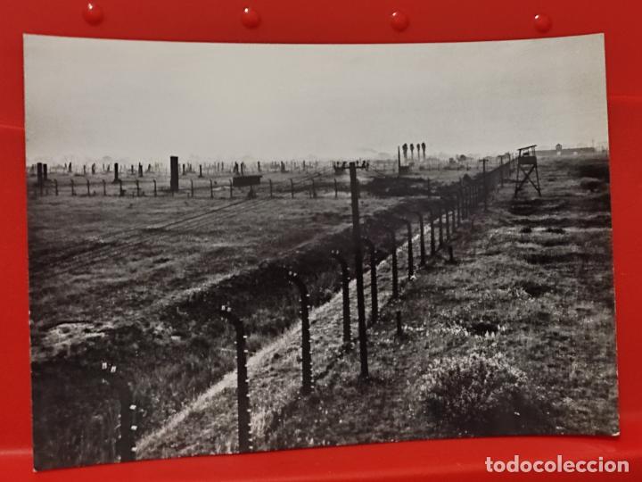 Militaria: AUSCHWITZ BIRKENAU OSWIECIM BRZEZINKA FOTO RUCH SC CREO CAMPO CONCENTRACI&Oacute;N CERCADO