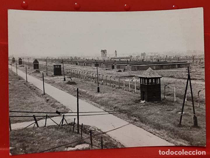 Militaria: AUSCHWITZ BIRKENAU OSWIECIM BRZEZINKA FOTO RUCH SC CREO CAMPO CONCENTRACI&Oacute;N CAMINO CASETAS