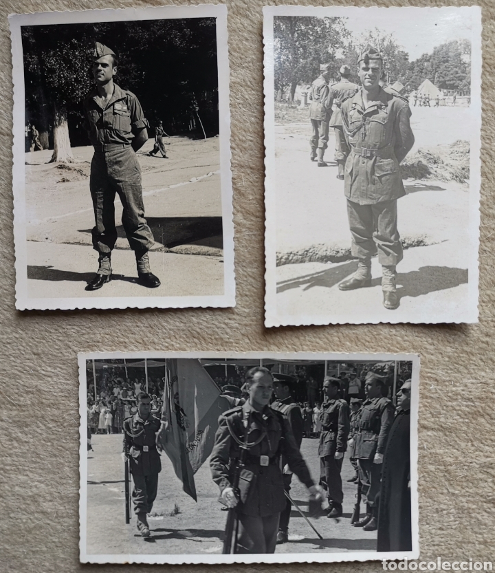 Military Antiques: Lote tres fotograf&iacute;as Sargento de Milicias Universitarias -Ej&eacute;rcito de Tierra El Robledo A&ntilde;o 1954 55