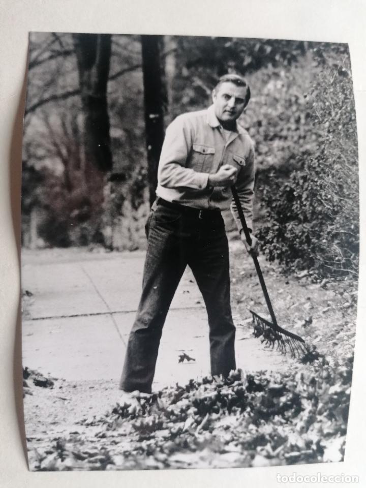 Militaria: FOTOGRAFIA WALTER FRITZ MONDALE, POLITICO NORTEAMERICANO, EN EL JARDIN DE SU CASA, JUNIO 1978