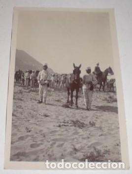 Militaria: FOTOGRAFIA POSTAL, EPOCA DE ALFONSO XIII, MARRUECOS (Mulo de Respeto de Seccion)