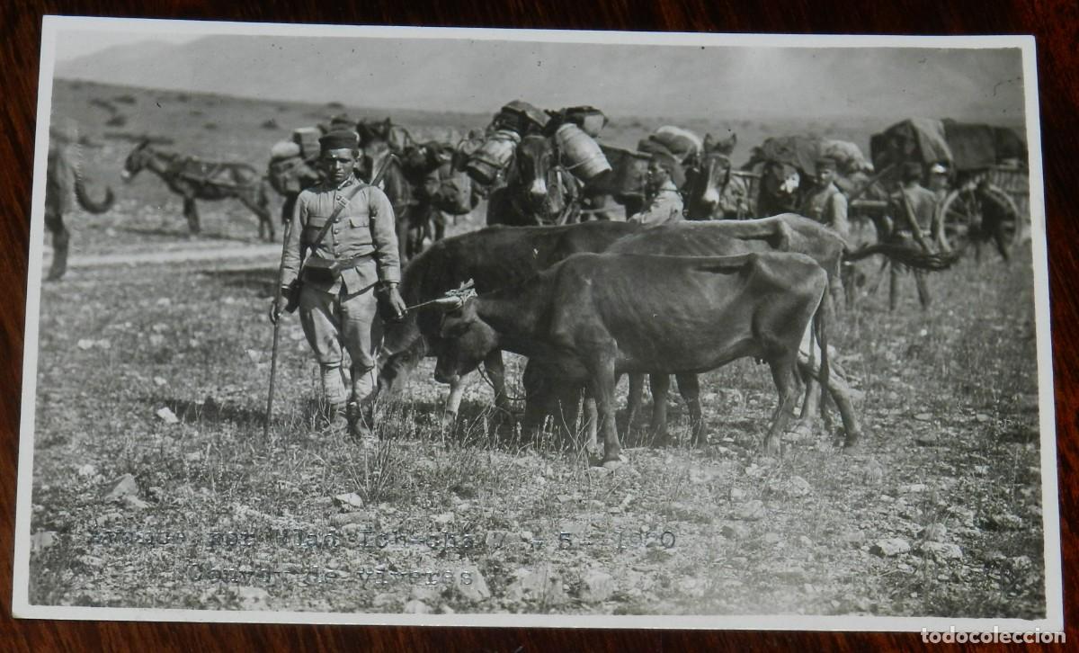 Military Antiques: FOTOGRAFIA DE GUERRA DEL RIF, AVANCE POR ULAD ICH-CHO, 7 DE MAYO DE 1920, CONVOY DE VIVERES, MARRUEC