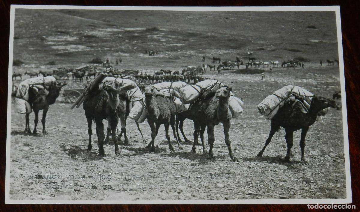Militaria: FOTOGRAFIA DE GUERRA DEL RIF, AVANCE POR ULAD ICH-CHE, 7 DE MAYO DE 1920, CONVOY DE CAMELLOS, MARRUE