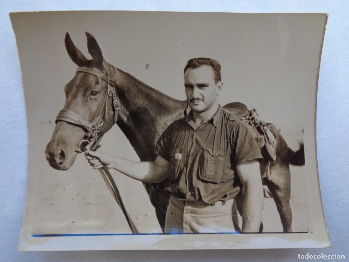 Militaria: MILICIAS DE FALANGE : FOTO DE MILICIANO FALANGISTA CON CAMISA AZUL Y CABALLO