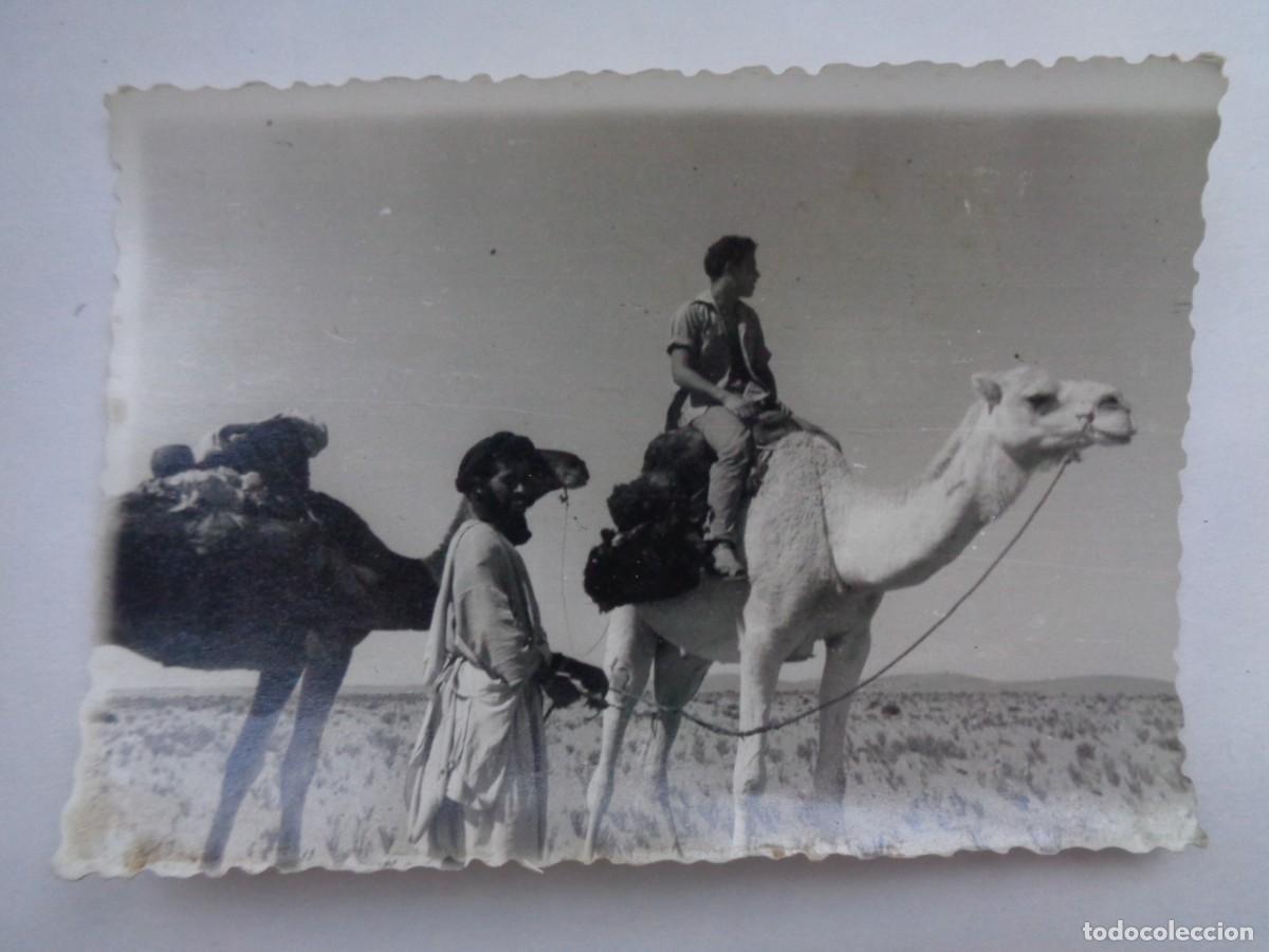 Militaria: LA LEGION : FOTO DE LEGIONARIO EN CAMELLO Y MORO SAHARAUI