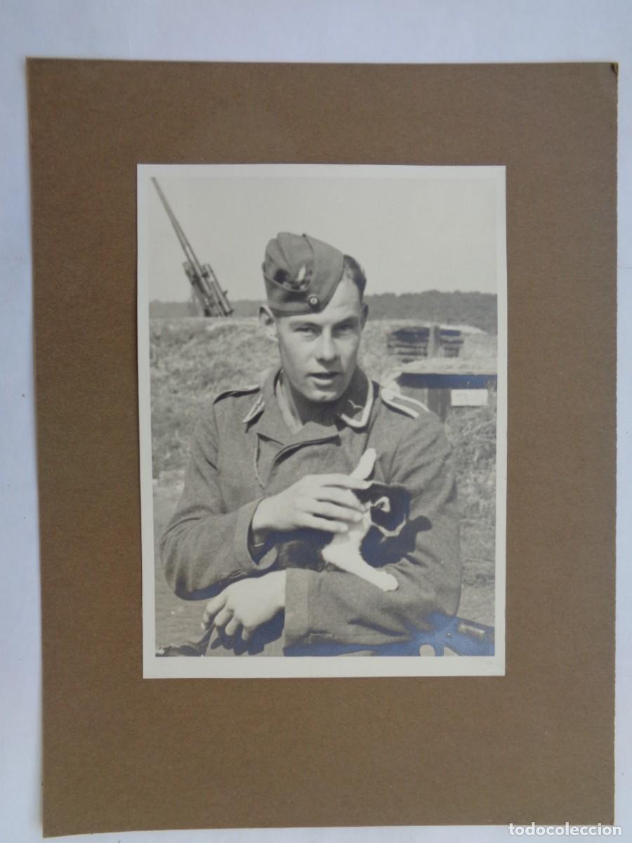 Militaria: 2 &ordf; GUERRA MUNDIAL: FOTO MILITAR DE LA LUFTWAFFE ALEANIA NAZI CON GATO, DETRAS ARTILLERIA ANTIAEREA
