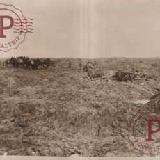 Militaria: NEW ZEALAND OFFICIAL PHOTOGRAPH. FIELD GUNS FIRING FROM SHELL-HOLES AND MULES... 20X15.5CM