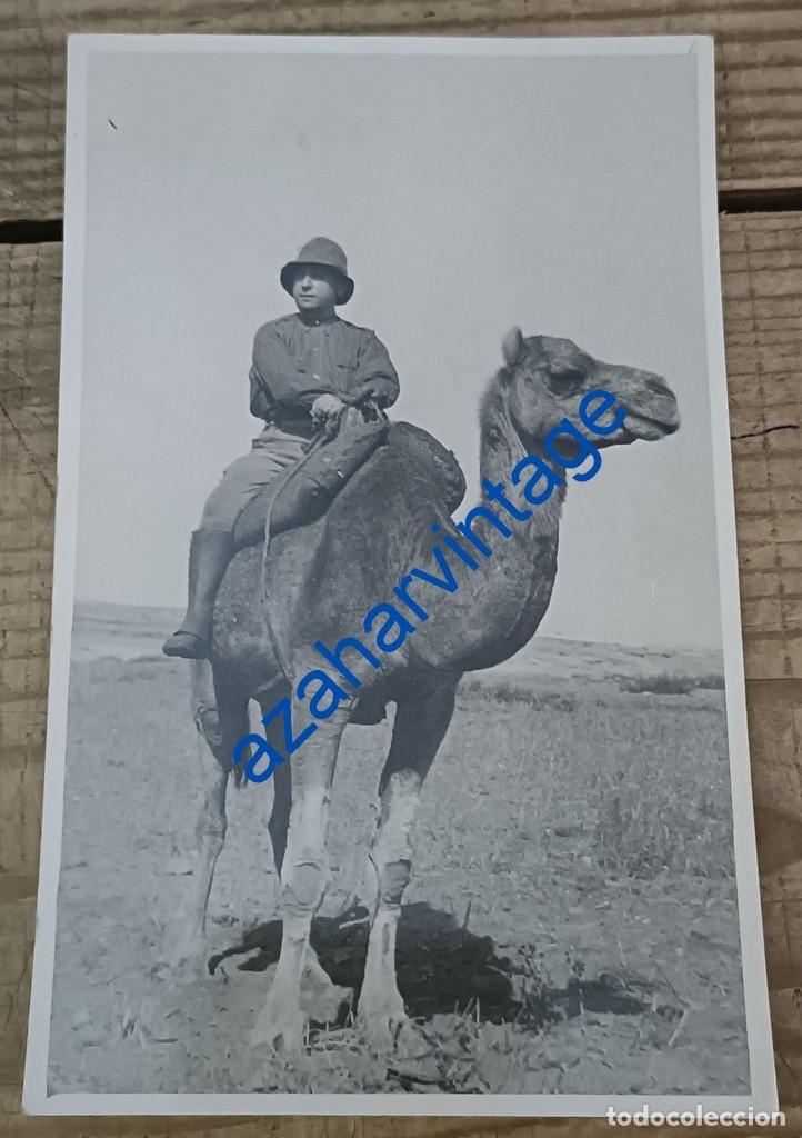 Militaria: ANTIGUA FOTOGRAFIA, MILITAR SOBRE CAMELLO, SAHARA, 9X14 CMS