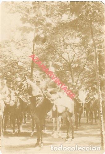 Militaria: ALBUMINA, PARADA MILITAR, OFICIAL DE CABALLERIA, 55X80MM