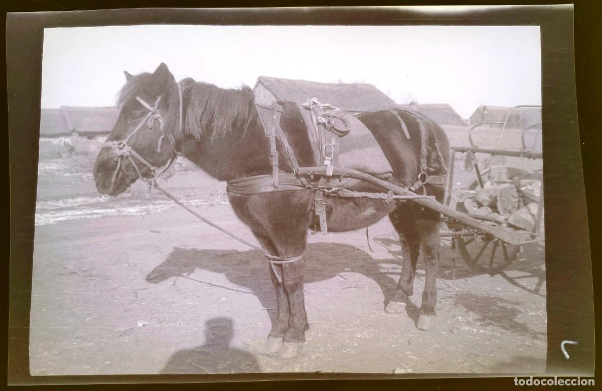 Militaria: Historical negative photography of the Russian-Japanese war 1904 1905, Manchuria, ancient and origin
