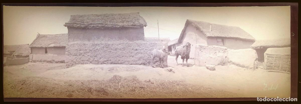 Militaria: Historica fotograf&iacute;a en negativo de la guerra ruso-japonesa 1904 1905, Manchuria, antigua y original