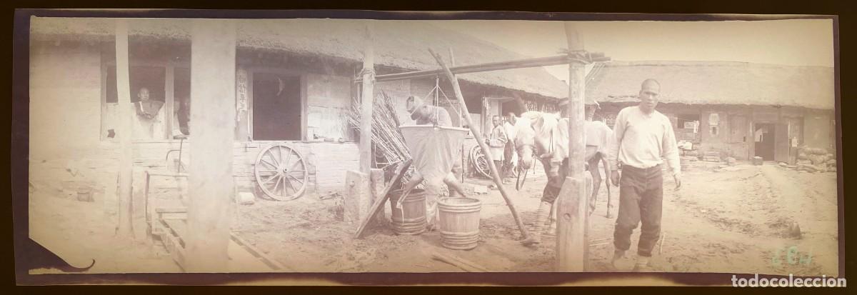 Militaria: Historica fotograf&iacute;a en negativo de la guerra ruso-japonesa 1904 1905, Manchuria, antigua y original