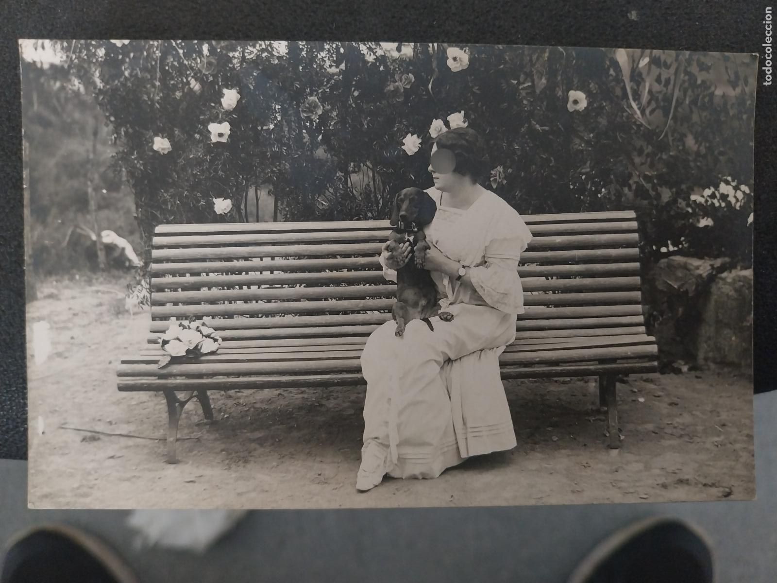 Military Antiques: DAMA BANCO MODERNISTA JARDIN TECKEL PERRO FOTO DORSO POSTAL 1920 APROX