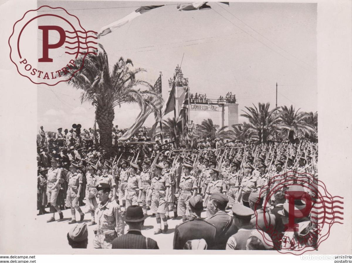 Militaria: TUNIS VICTORY PARADE A GUARDS REGIMENT FOTO DE PRESSE Brian L Davis Archive