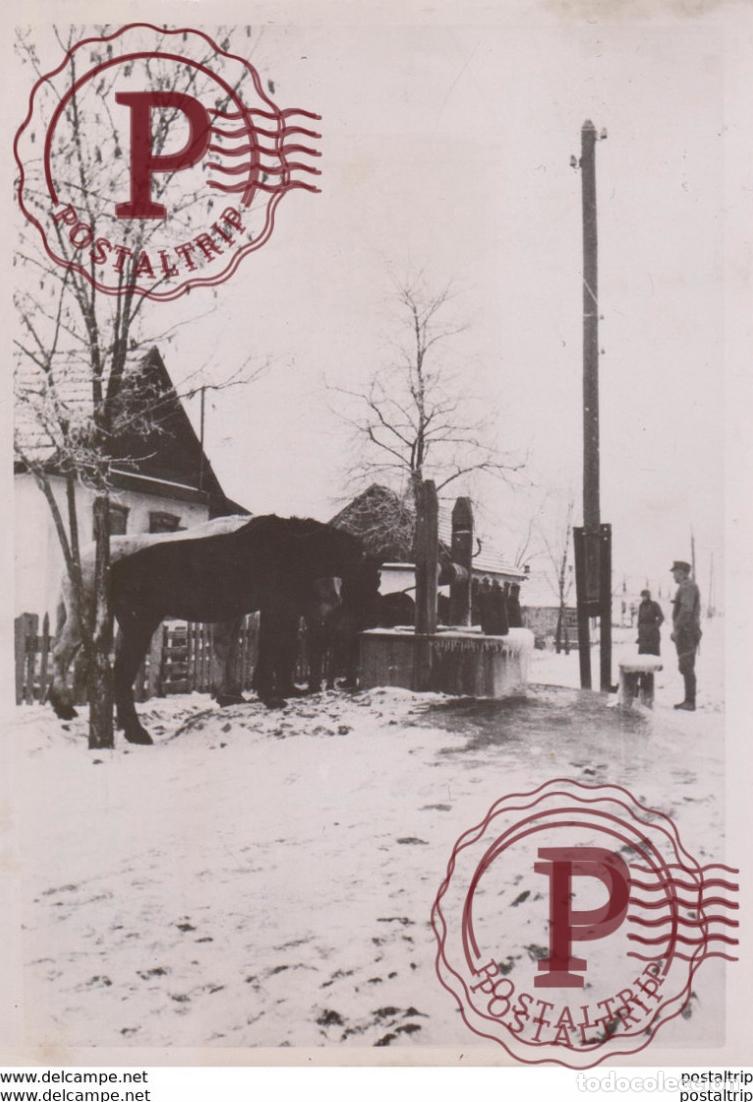 Militaria: FOTO DE PRESSE WW2 WWII WORLD WAR 2 WELTKRIEG aleman deutchland