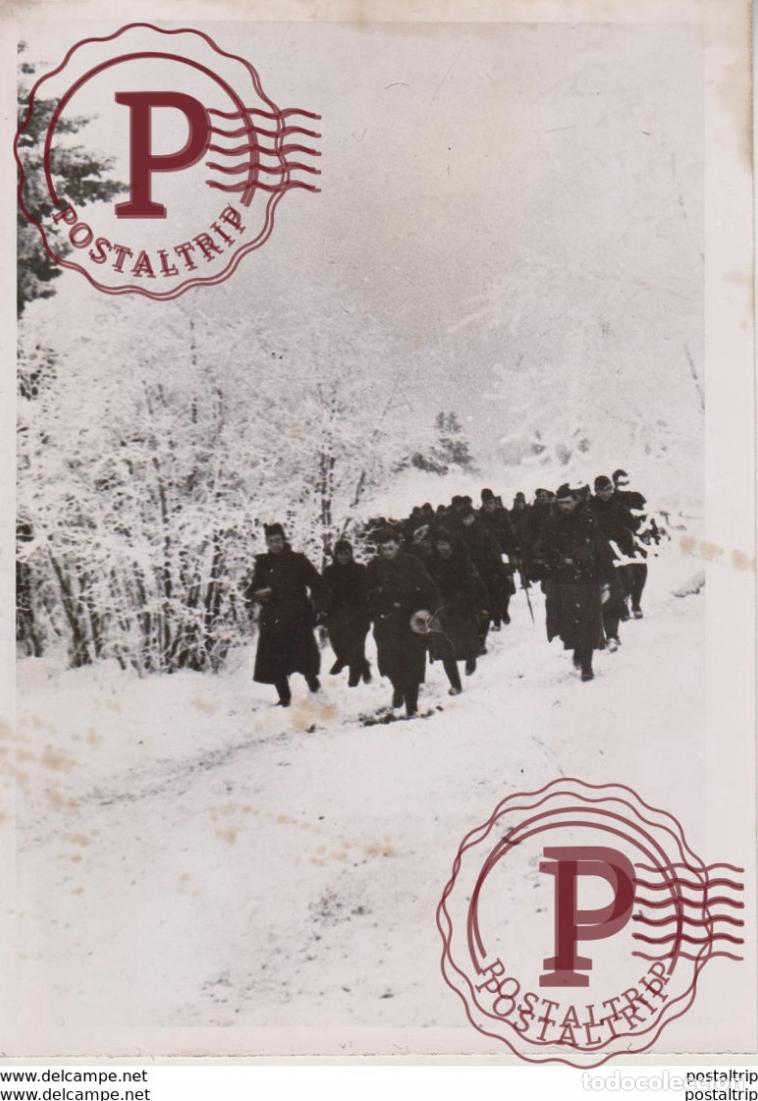 Militaria: KAMPFGELANDE DES OSTENS FOTO DE PRESSE WW2 WWII WORLD WAR 2 WELTKRIEG aleman deutchland