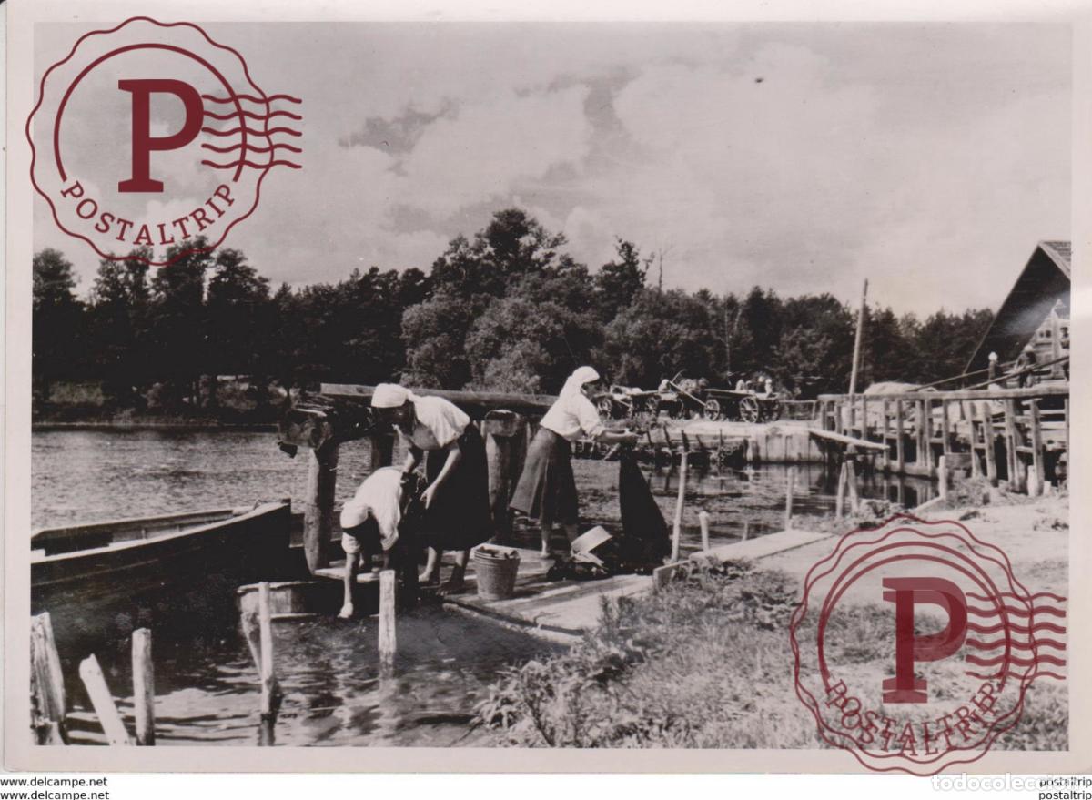 Militaria: SOMMER UBER RUSSLAND RUSSIA FOTO DE PRESSE WW2 WWII WORLD WAR 2 WELTKRIEG aleman deutchland