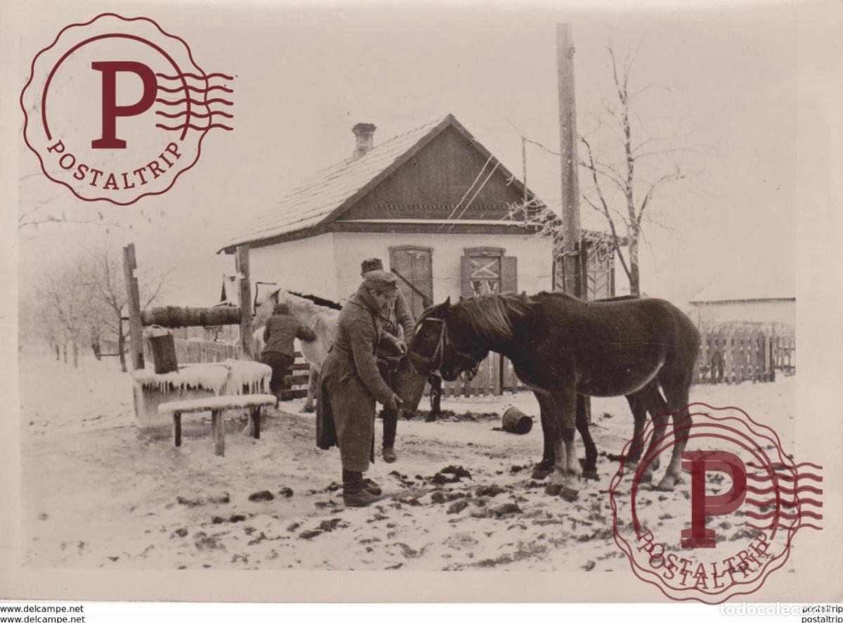 Militaria: TRANKWASSER TIERE PFERDE RUSSIA SOWJETS FOTO DE PRESSE WW2 WWII WORLD WAR 2 WELTKRIEG aleman deut