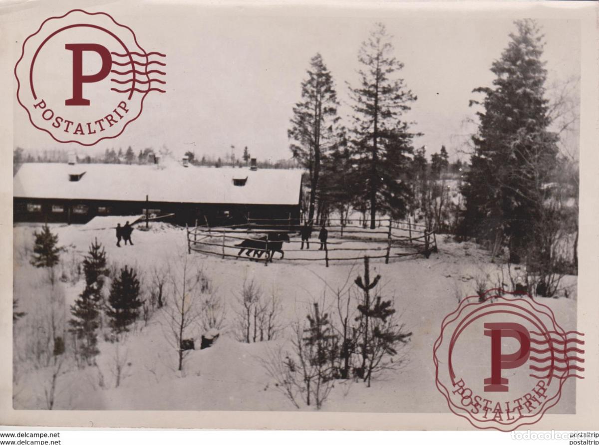 Militaria: FOTO DE PRESSE WW2 WWII WORLD WAR 2 WELTKRIEG aleman deutchland