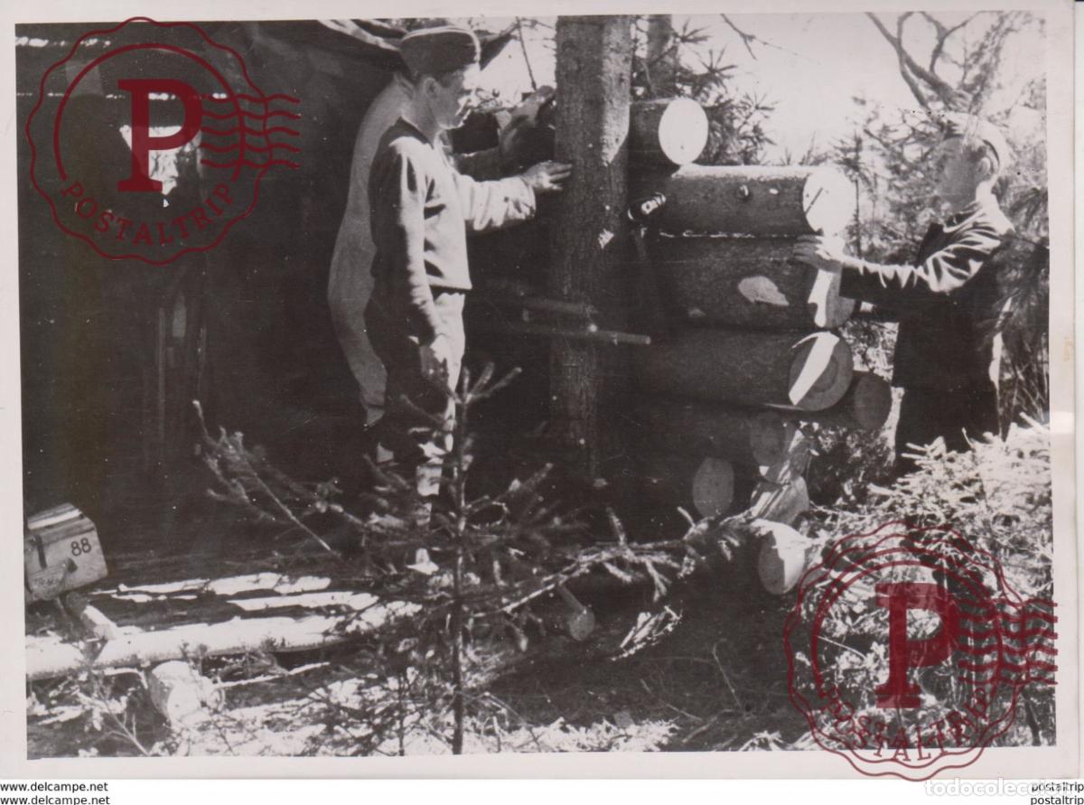 Militaria: FOTO DE PRESSE WW2 WWII WORLD WAR 2 WELTKRIEG aleman deutchland