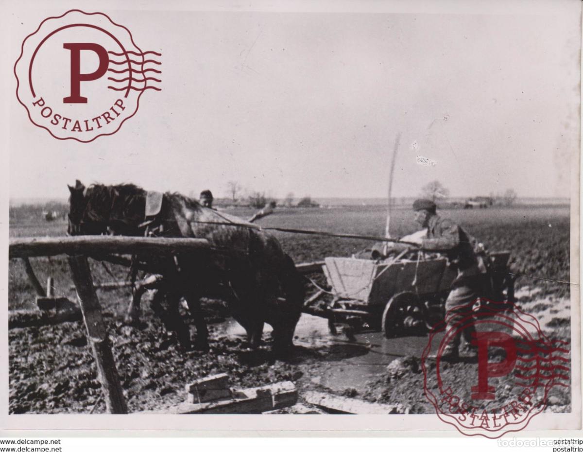 Militaria: FOTO DE PRESSE WW2 WWII WORLD WAR 2 WELTKRIEG aleman deutchland