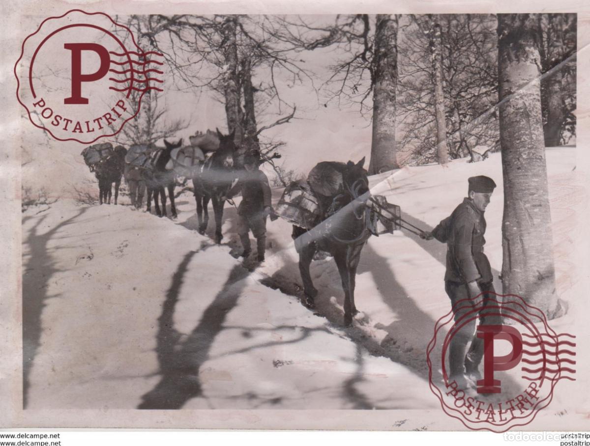 Militaria: FOTO DE PRESSE WW2 WWII WORLD WAR 2 WELTKRIEG aleman deutchland