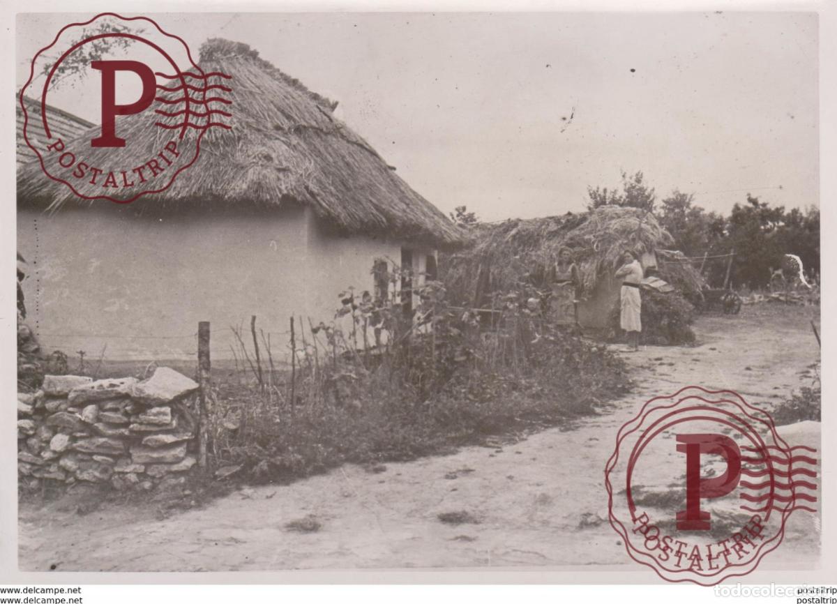 Militaria: DONGEBIET FOTO DE PRESSE WW2 WWII WORLD WAR 2 WELTKRIEG aleman deutchland