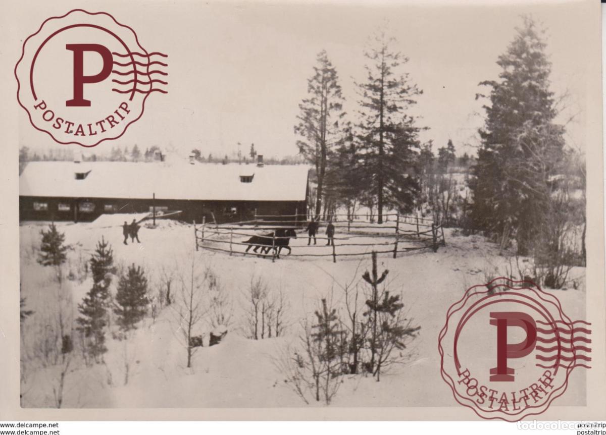 Militaria: FOTO DE PRESSE WW2 WWII WORLD WAR 2 WELTKRIEG aleman deutchland