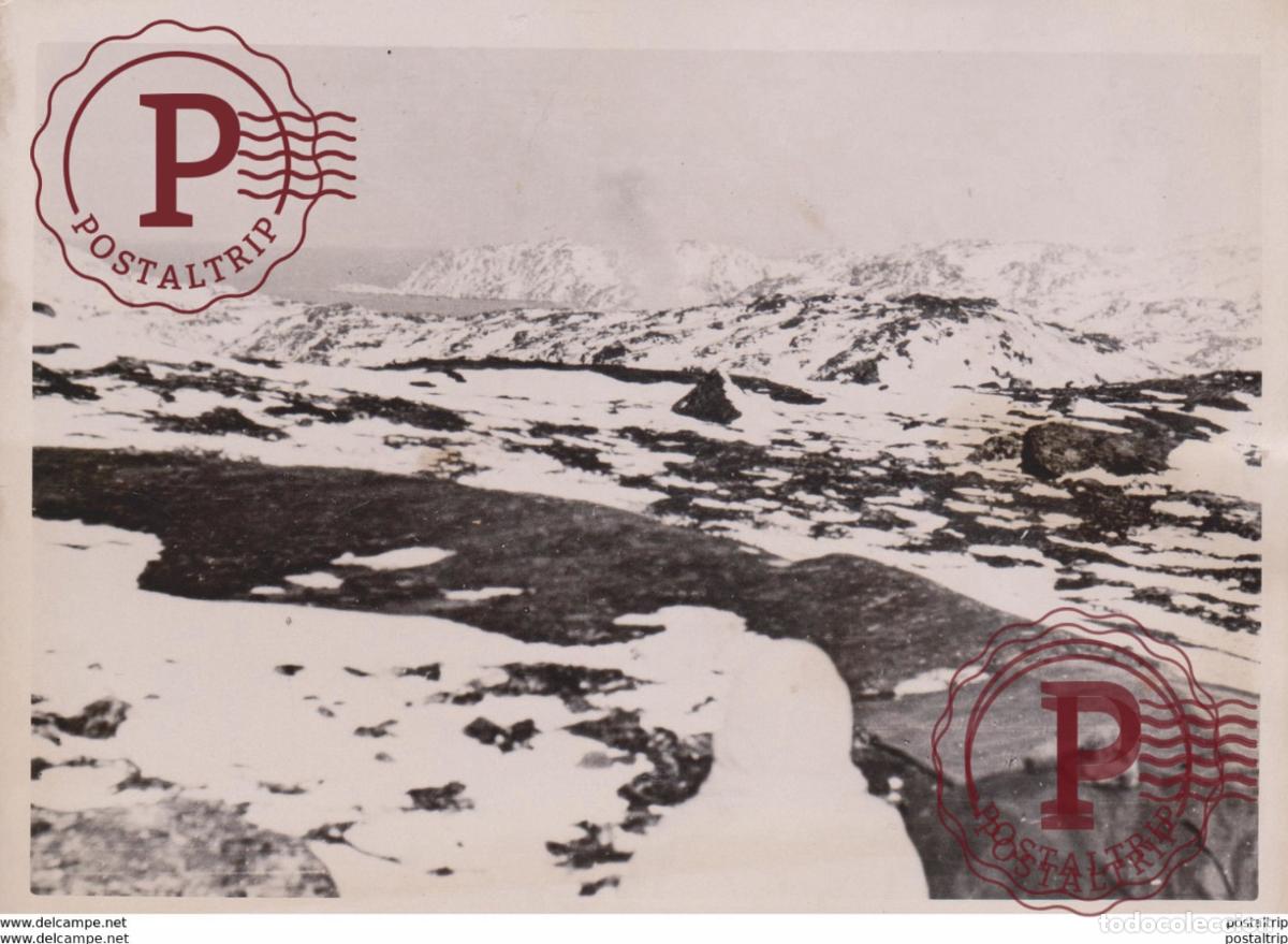 Military Antiques: EINSAME STILLE AN DREI FRONTEN EISMEER DEUTSCHER FOTO DE PRESSE WW2 WWII WORLD WAR 2 WELTKRIEG ale