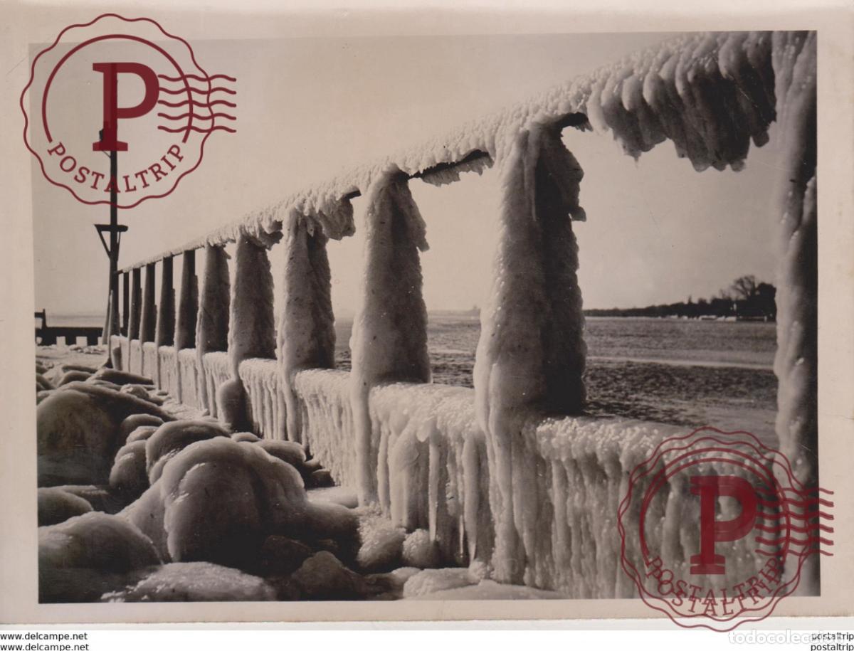 Militaria: WINTERZAUBER DANISCHEN KUSTE DENMARK FOTO DE PRESSE WW2 WWII WORLD WAR 2 WELTKRIEG