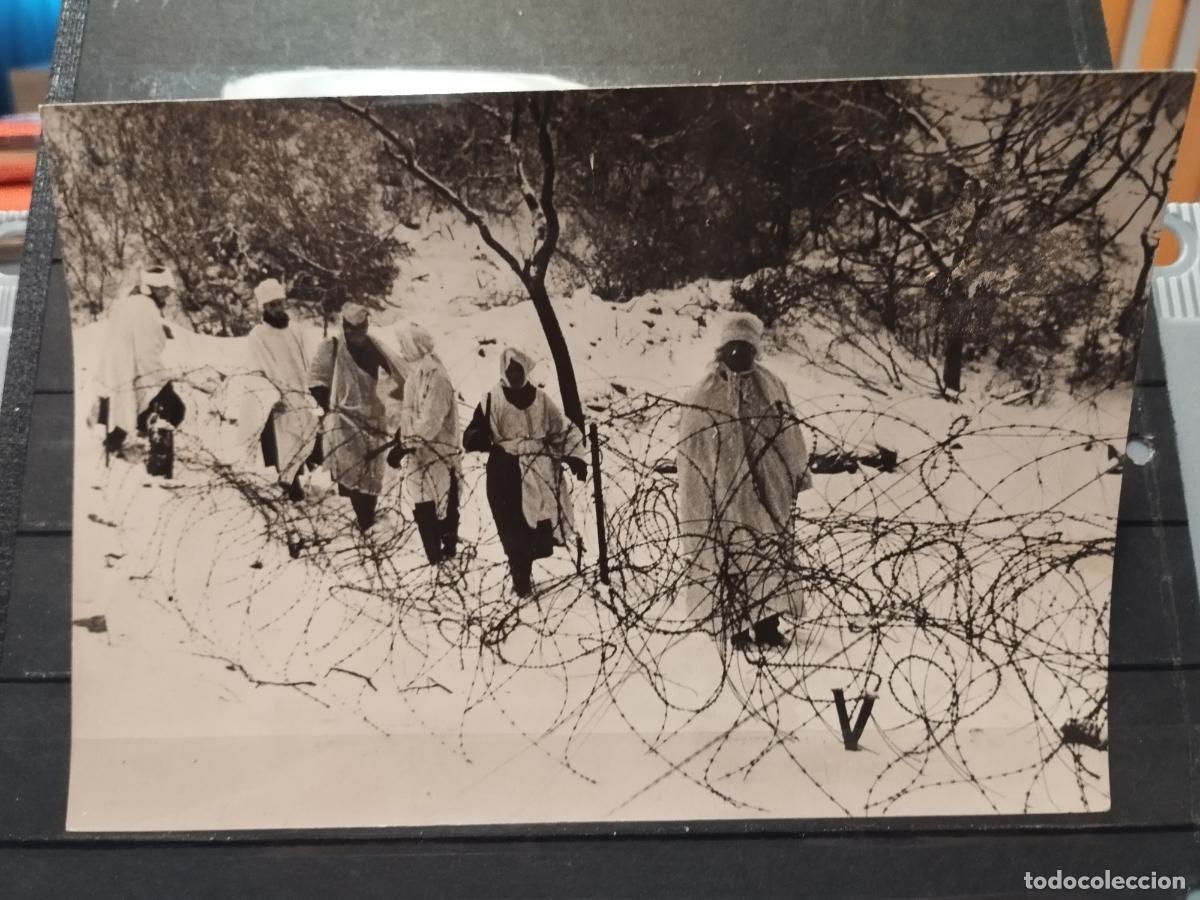Military Antiques: TKZ - FOTOGRAFIA ORIGINAL. LAS TROPAS ALEMANAS PATRULLANDO EL BOSQUE. 1941