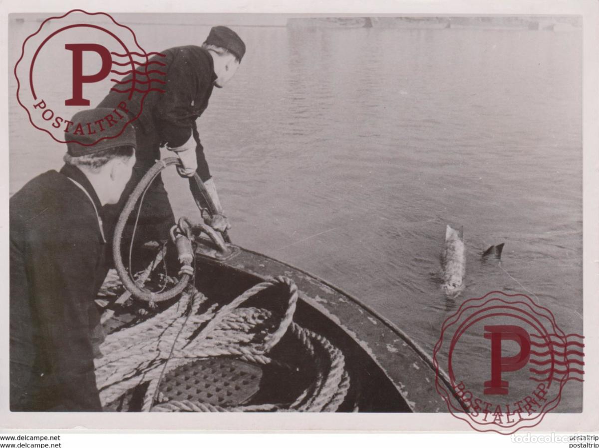 Militaria: UNTERSEEBOOT FOTO DE PRESSE WW2 WWII WORLD WAR 2 WELTKRIEG aleman deutchland