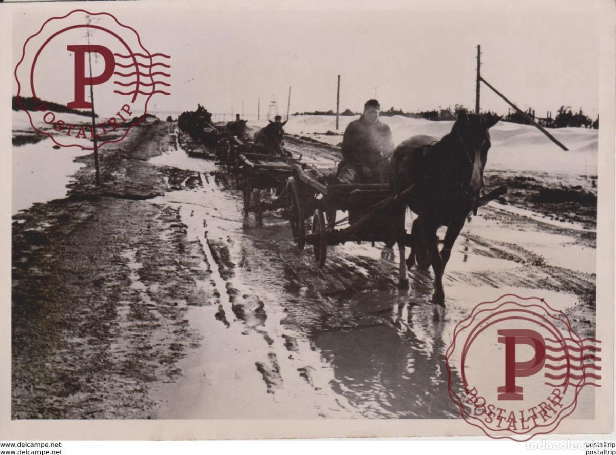 Militaria: FOTO DE PRESSE WW2 WWII WORLD WAR 2 WELTKRIEG aleman deutchland