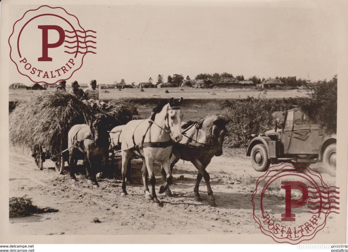 Militaria: FOTO DE PRESSE WW2 WWII WORLD WAR 2 WELTKRIEG aleman deutchland