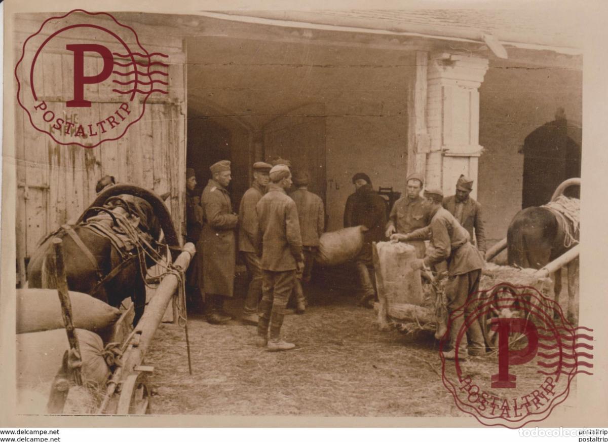 Militaria: SOWJETISCHE BAUERN LIEFEREN GETREIDE AB KAUKASUS FOTO DE PRESSE WW2 WWII WORLD WAR 2 WELTKRIEG alem