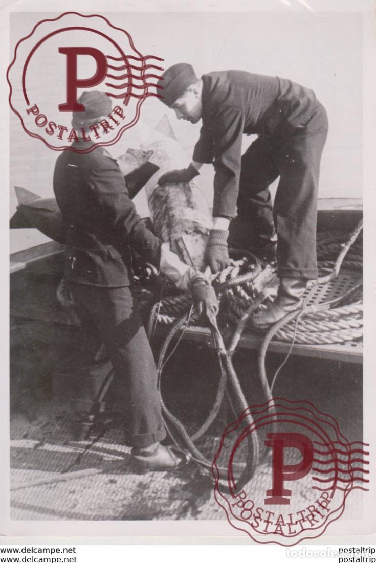 Militaria: KRIEGSMARINE FOTO DE PRESSE WW2 WWII WORLD WAR 2 WELTKRIEG aleman deutchland