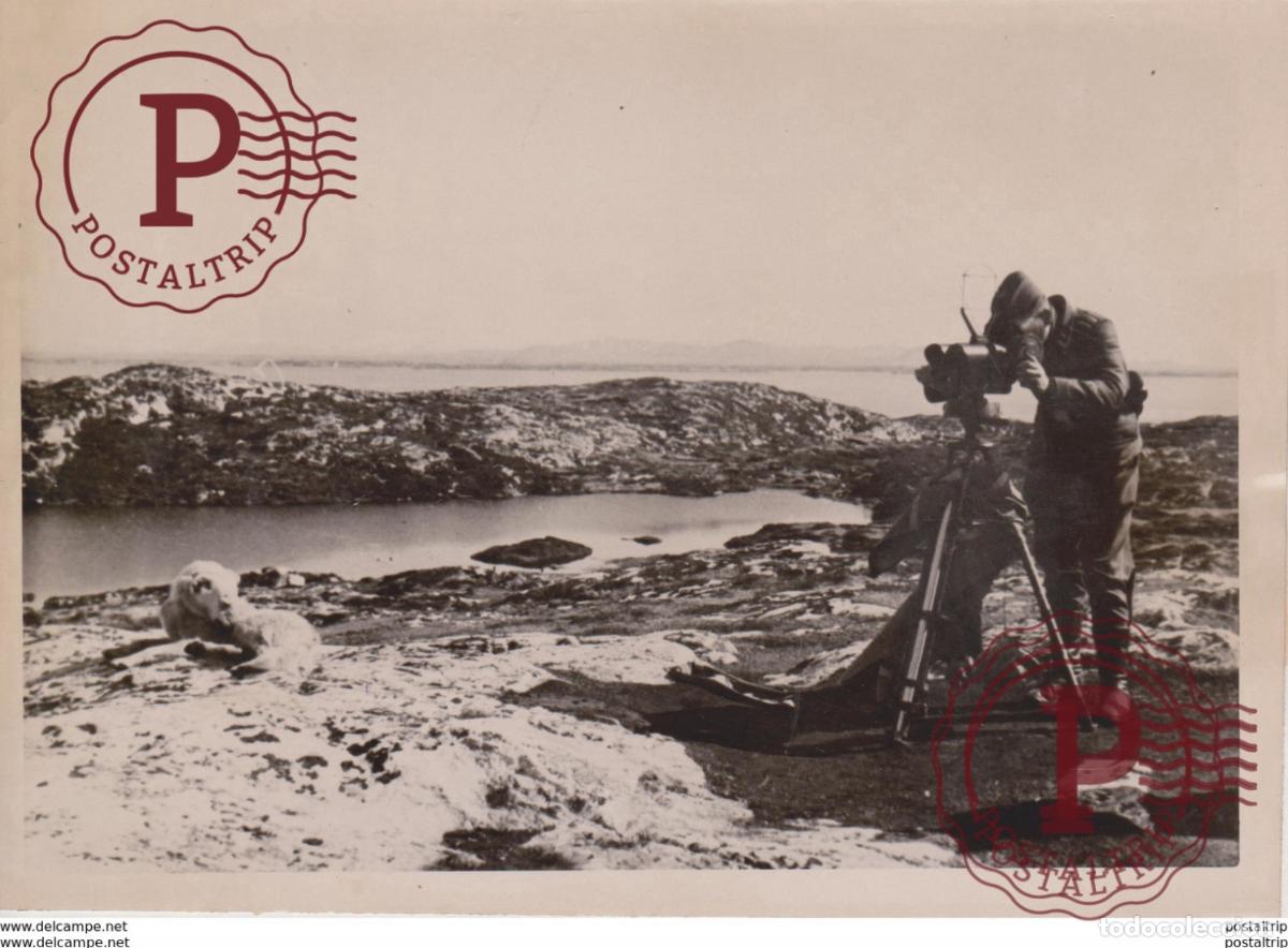 Militaria: FOTO DE PRESSE WW2 WWII WORLD WAR 2 WELTKRIEG aleman deutchland