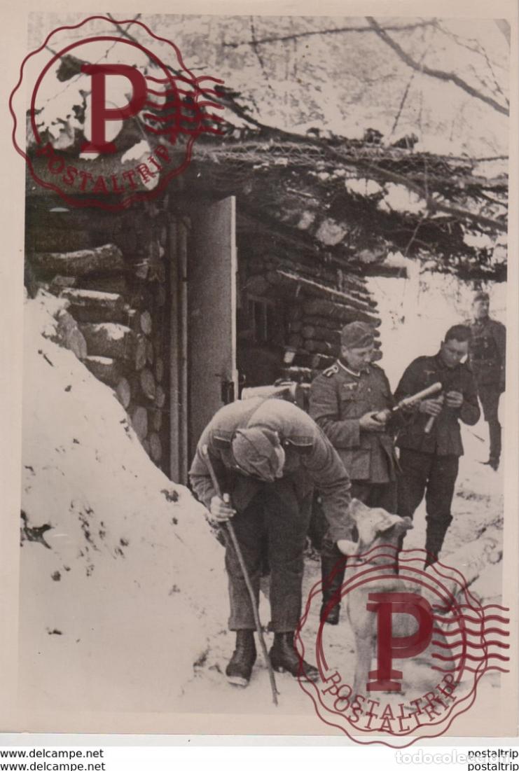 Militaria: FOTO DE PRESSE WW2 WWII WORLD WAR 2 WELTKRIEG aleman deutchland