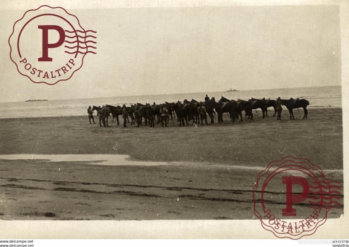 Militaria: WAR WWI GUERRE MONDIALE 18*13 CM Fonds Victor FORBIN 1864-1947