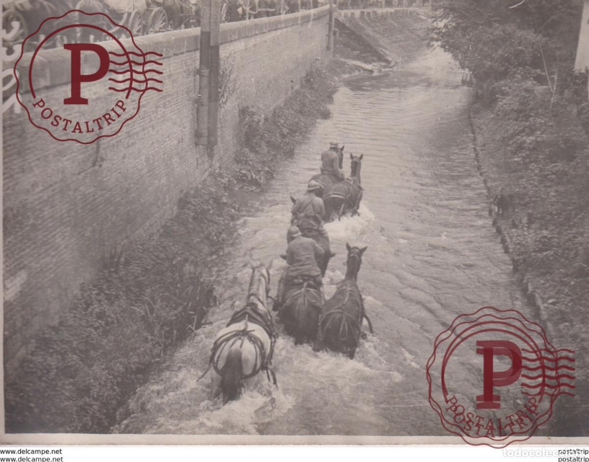 Military Antiques: HORSES GIVING THEM A BATH A SCENE IN THE SOMME +-&nbsp;18*13CM WORLD WAR GUERRE MUNDIAL