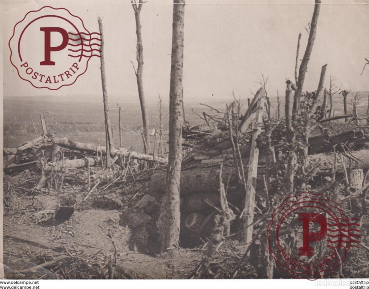 Militaria: TORN AND TATTERED SOMME A GERMAN 150 GUN CAPTURED FRENCH FIGHTERS +-&nbsp;18*13CM WORLD WAR GUERRE MUND