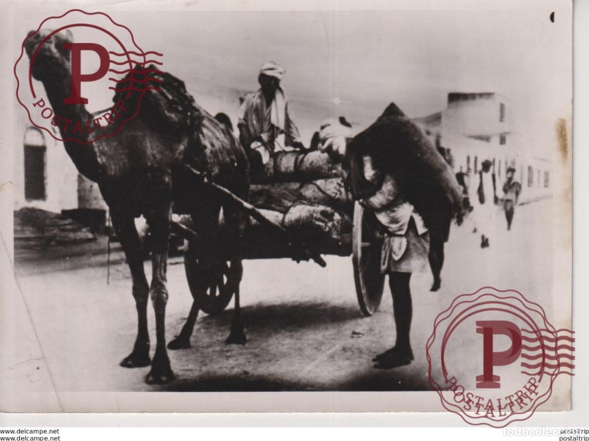 Militaria: KAMELFARREN GEFORDERT TABAK ADEN ITALIENISCHEM BO18*13cm FOTO DE PRESSE WW2 WWII WORLD WAR 2 WELTKRI