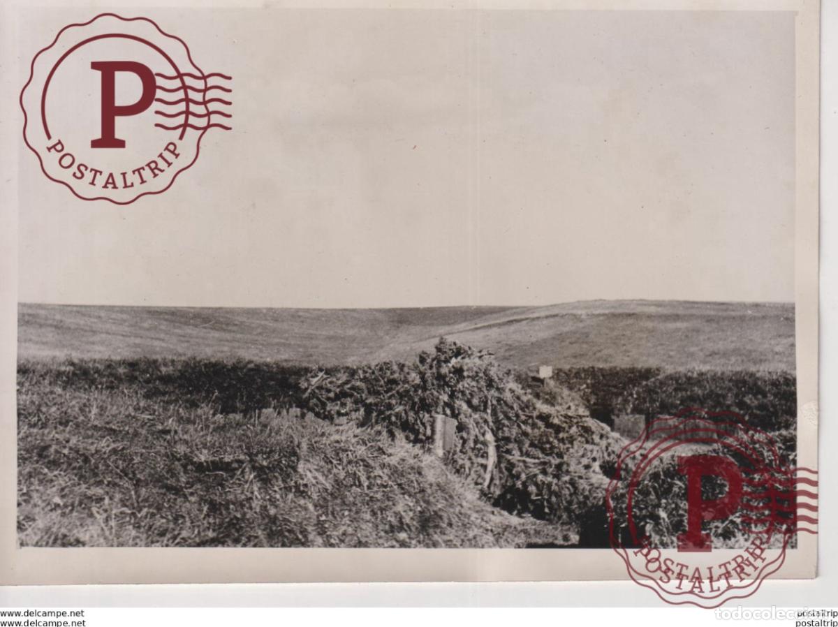 Militaria: GUT GETARNT 18*13cm WW2 WORLD WAR 2 WELTKRIEG deutschland