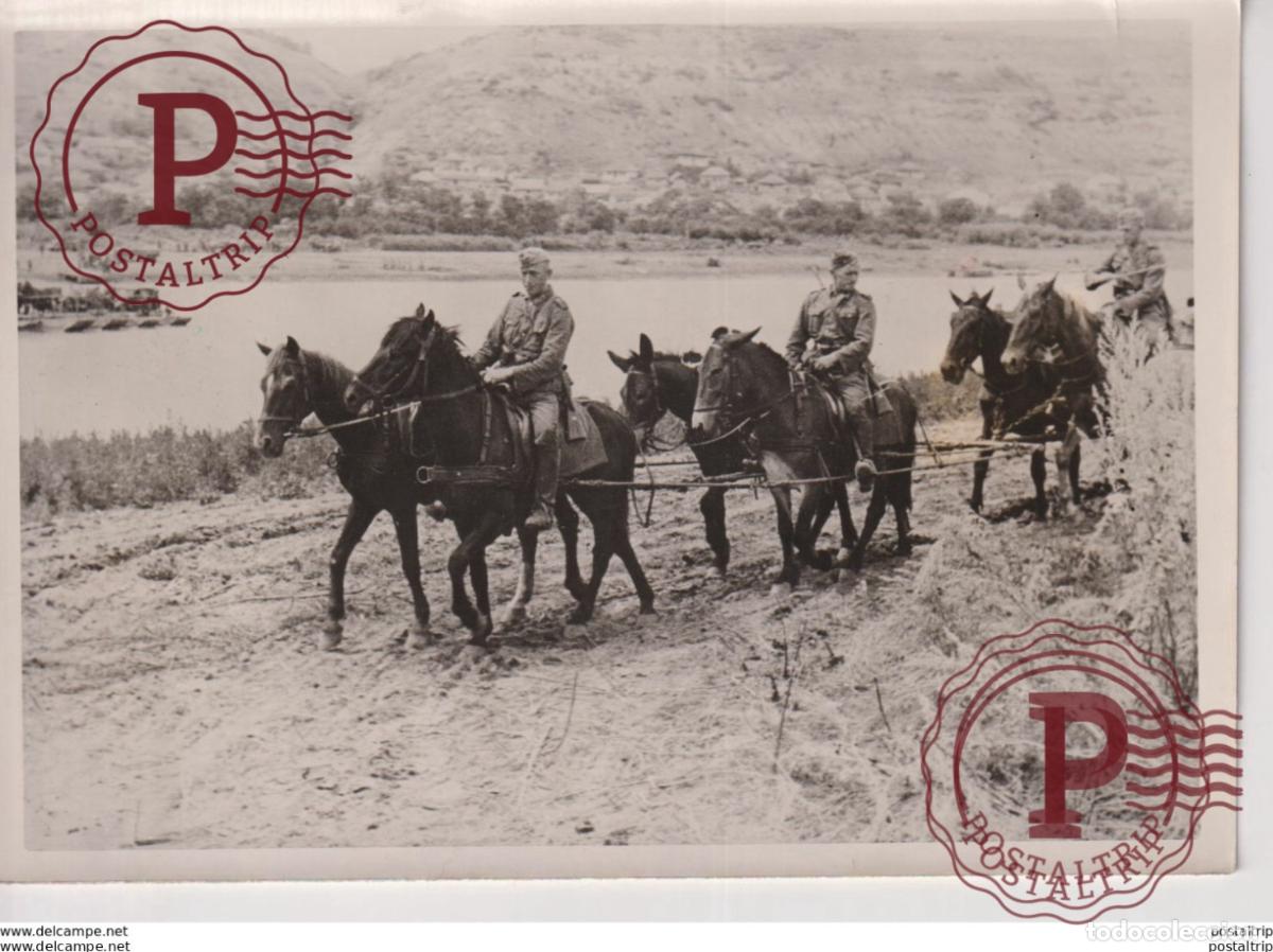 Militaria: DEN DNJESTER Dniester Eastern Europe UKRAINE RUSSIA BESSARABIEN 18*13cm WW2 WORLD WAR 2 WELTKRIEG