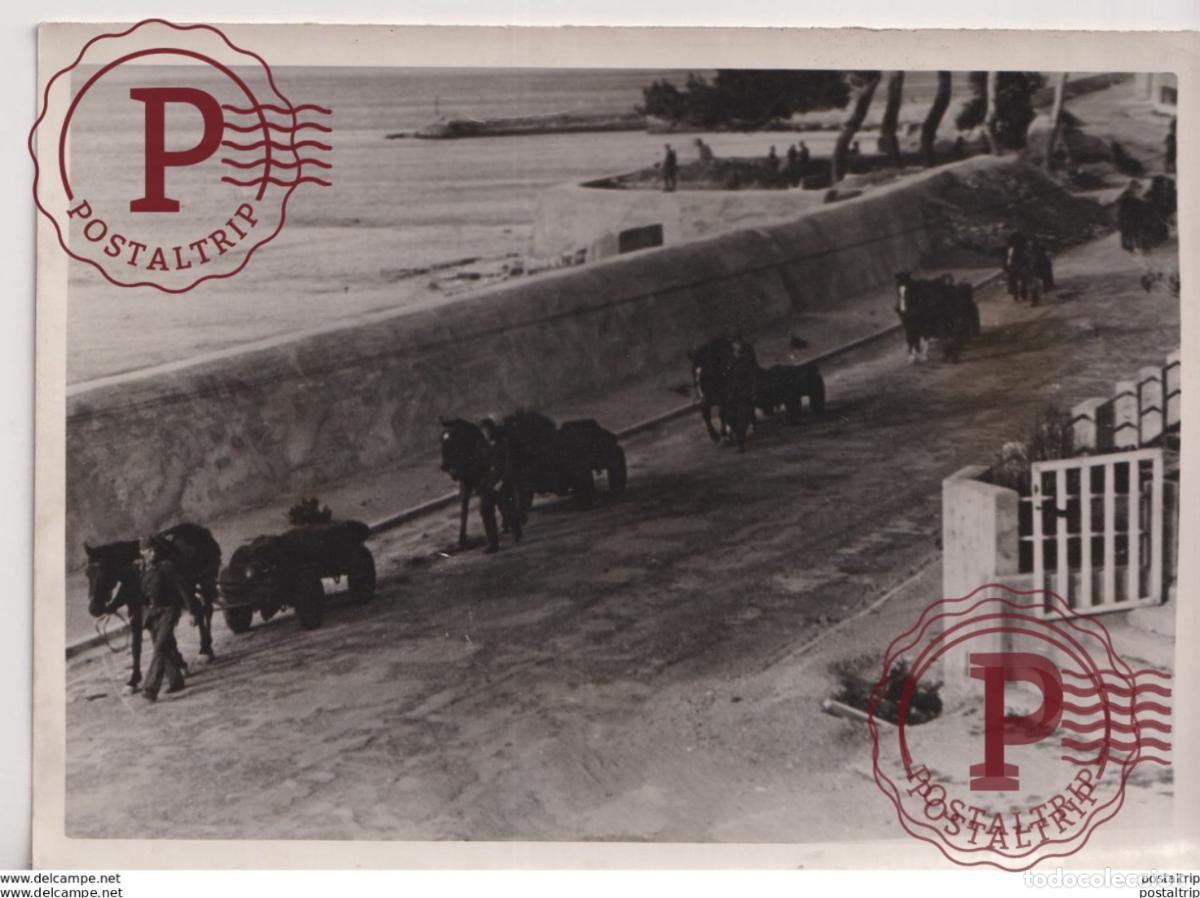 Militaria: PANZERMAUER K&Uuml;STE S&Uuml;DFRANKREICHS FRANCE &Auml;G&Auml;ISCHEN INSELN 18*13cm WW2 WORLD WAR 2 WELTKRIEG deutsch